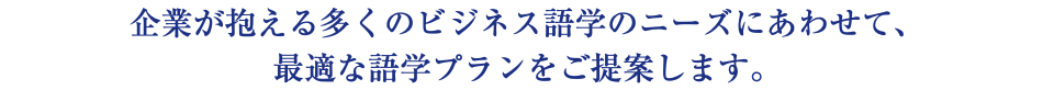 企業が抱える多くのビジネス語学のニーズにあわせて、 最適な語学プランをご提案します。